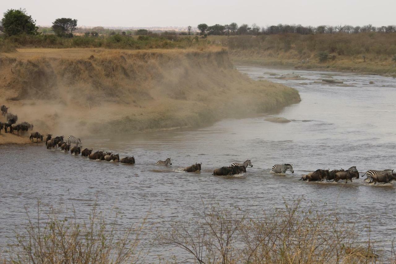 Gnu Mara River Camp Серенгети Екстериор снимка